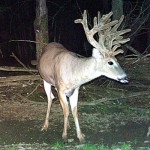 Lowlands Whitetails New York Deer Hunting Ranch